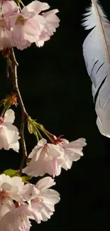 Cherry blossom and feather mobile wallpaper for serene spring vibes.