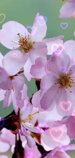 Cherry blossoms with pastel hearts overlay in soft pink tones.