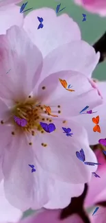 Cherry blossom with colorful butterflies in soft pink hues.