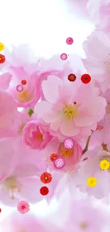 Mobile wallpaper with pink cherry blossoms in soft spring light.