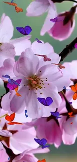 Cherry blossoms and butterflies on a vibrant pink wallpaper.