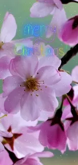 Pink cherry blossoms with 'Merry Christmas' message on phone wallpaper.