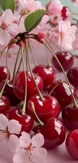 Aesthetic cherry blossoms and cherries wallpaper