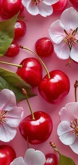 Cherries and blossoms on a pink background wallpaper.