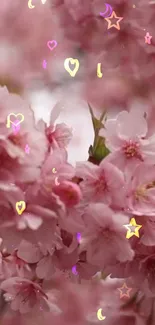 Mobile wallpaper with pink cherry blossoms and pastel symbols.