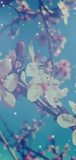 Cherry blossoms against a blue sky with twinkling stars.