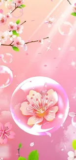 Cherry blossom wallpaper with pink blooms, bubbles, and soft sunlight.