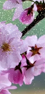 Cherry blossoms with glittering effect and pink flowers for mobile wallpaper.