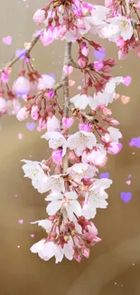 Cherry blossoms with heart accents on a soft background.