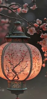 Oriental lantern with cherry blossoms glowing softly in the night.