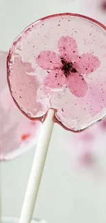 Cherry blossom lollipop wallpaper, perfect for a serene mobile backdrop.