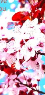 Cherry blossoms with love text on a bright background