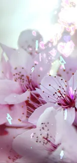 Delicate cherry blossoms with blurred pink background.