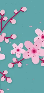 Cherry blossom floral wallpaper with teal background and pink flowers.