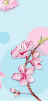 Cherry blossom flowers on a light blue backdrop with graphic elements.