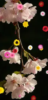 Cherry blossoms with colorful flowers on a dark background.