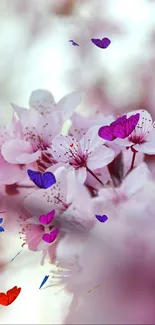 Close-up of cherry blossoms in soft pink hues, creating a tranquil background.