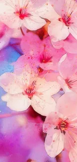 Vibrant cherry blossom wallpaper with pink and white flowers in watercolor style.