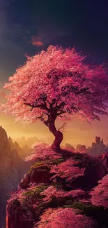 Cherry blossom tree on mountain at sunset.