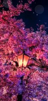 Night view of cherry blossoms illuminated by a street lamp.