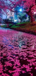 Cherry blossom petals on a night river with pink illumination.