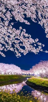 Cherry blossoms reflecting in a stream under a navy blue night sky.