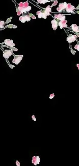 Cherry blossom branches on a black background wallpaper.