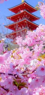 Cherry blossoms with a pagoda under blue skies.