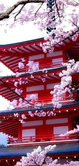 Red pagoda surrounded by cherry blossoms.