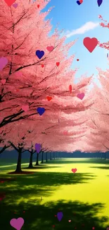 Cherry blossom path with pink trees and green grass under a clear blue sky.