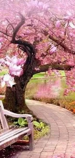 Serene pathway lined with pink cherry blossoms and a wooden bench.