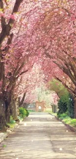 Cherry blossom trees create a pink floral tunnel over a serene pathway.