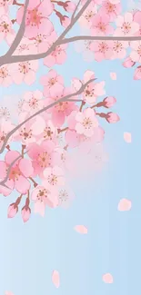 Pink cherry blossoms on a blue background, creating a serene mobile wallpaper.