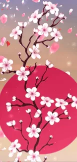 Cherry blossom with pink circle and gradient backdrop.