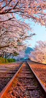 Cherry blossom trees along a railway track under a clear sky.