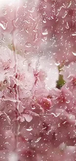 Pink cherry blossoms with raindrops on a mobile wallpaper.