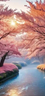 Cherry blossom trees over a serene river at sunrise, with pink hues and reflections.