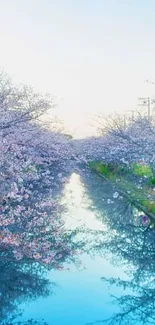 Cherry blossoms arch over a reflective river, creating a picturesque scene.