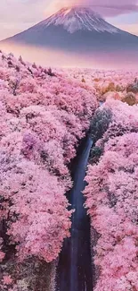 Cherry blossom road leading to a majestic mountain.