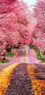 Road lined with vibrant pink cherry blossoms creating a scenic view.