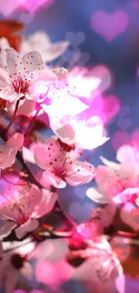 Cherry blossoms with pink petals and vibrant colors against a clear blue sky.