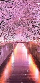 Serene cherry blossom pathway with pink reflections in tranquil waters.