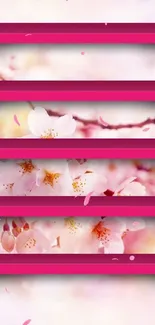 Cherry blossom wallpaper with pink 3D shelves.