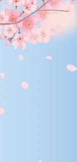 Cherry blossoms against a blue sky with falling petals, ideal for mobile backgrounds.