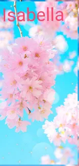 Cherry blossoms with blue sky mobile wallpaper.