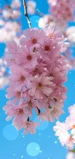 Cherry blossoms with blue sky in background, creating a serene and vibrant scene.