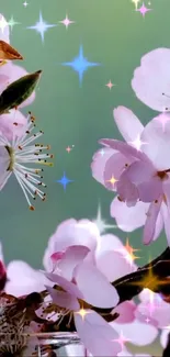 Delicate cherry blossoms with sparkling stars on a serene green background.