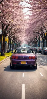 Purple convertible under cherry blossom trees in city street.