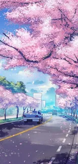 Beautiful cherry blossom street with cars under a clear blue sky.