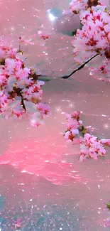 Cherry blossoms against a pink dreamy backdrop.